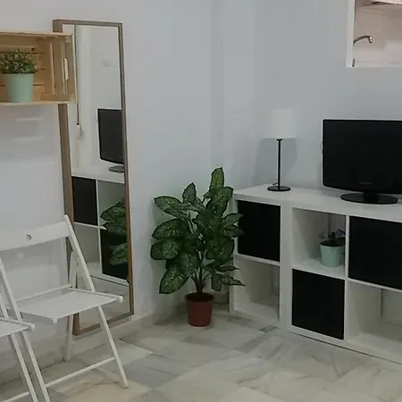 Apartamento Calle Eduardo Ocón Málaga